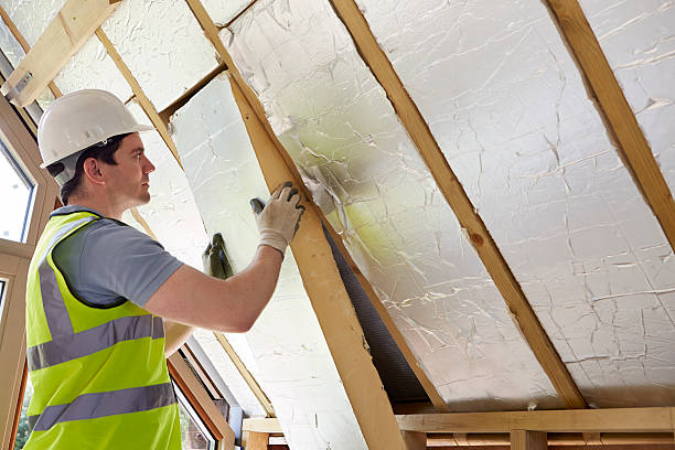 Best Residential Insulation in Kasson, MN