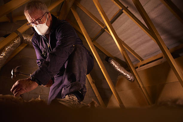 Best Commercial Insulation in Kasson, MN